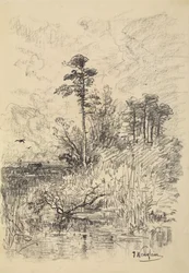 River Landscape